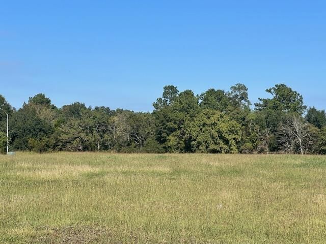 Property Photo:  6075 Omar Street  TX 77707 