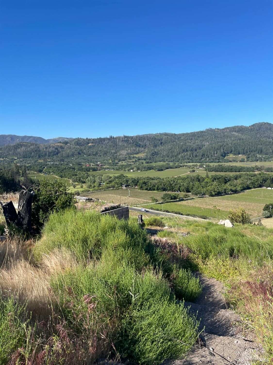 Property Photo:  3500 3502 Silverado Trail  CA 94574 
