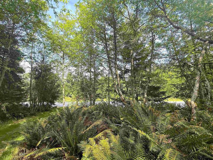 Lot 11 Bodega Beach Drive — photo 1