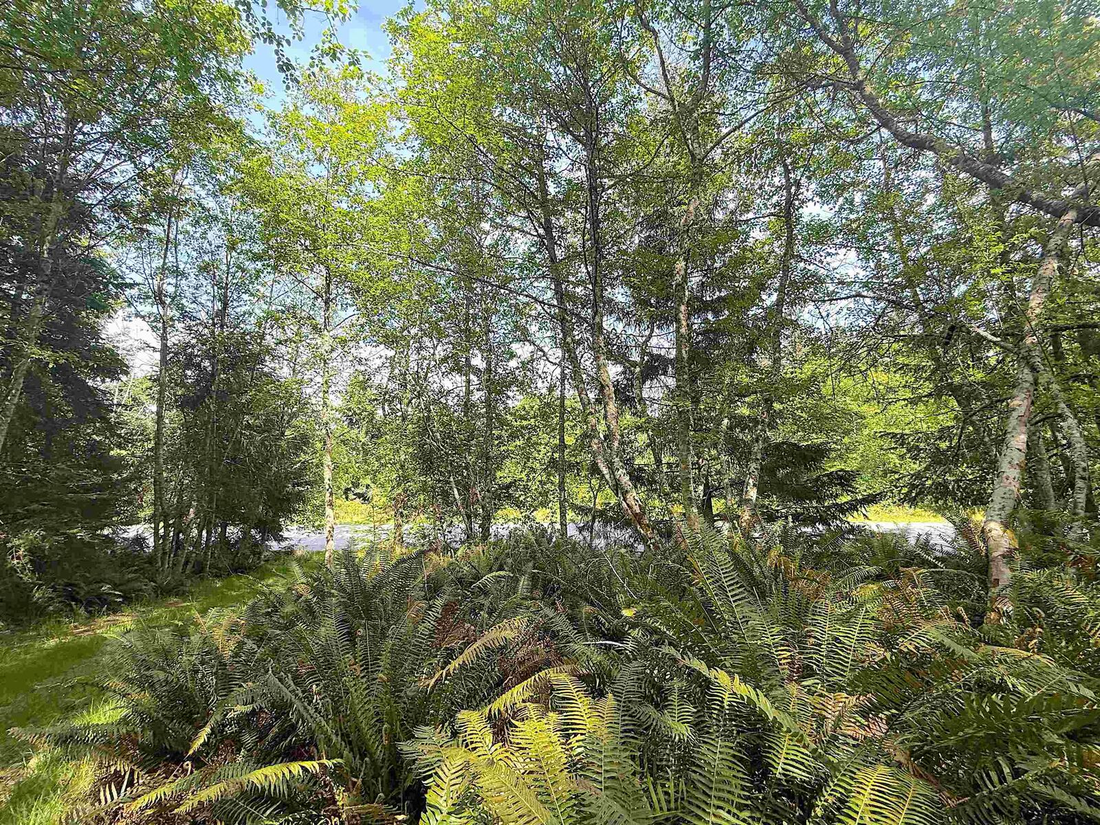 Property Photo: Lot 11 Bodega Beach Drive BC V0N 1P0