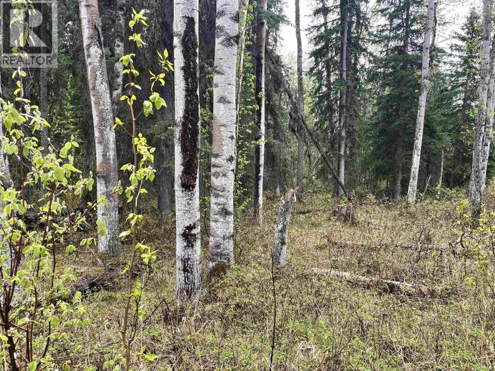 Property Photo:  Lot 1 Little Fort 24 Highway  BC V0K 1E0 