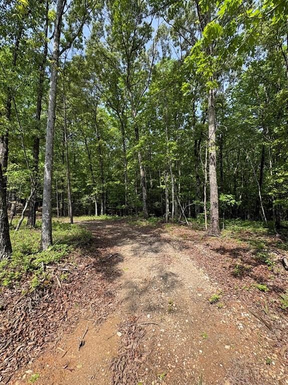 Property Photo:  0 Roy Dean Road  GA 30113 