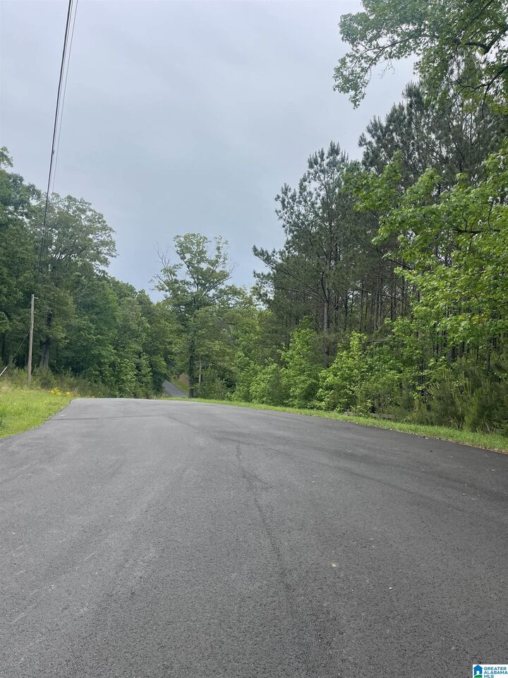 Property Photo:  65 Dogwood Drive 2  AL 35043 