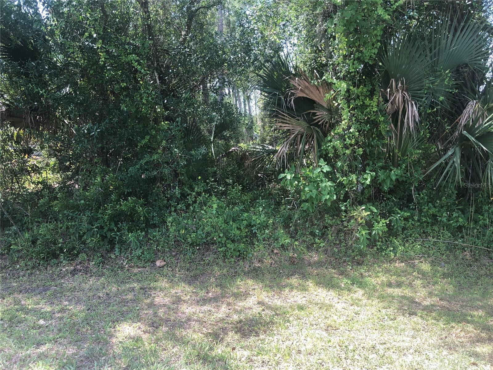 Property Photo:  Charland Avenue  FL 34291 