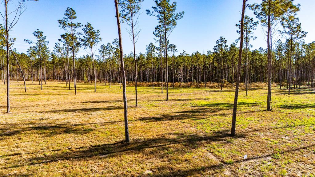 Property Photo:  Lot 19 Big Buck Drive  TX 75960 