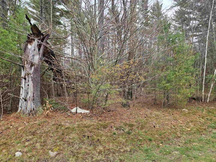 Property Photo:  Lot 20 Point Of View Drive  NH 03580 