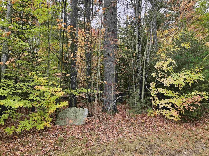 Property Photo:  Lot 20 Point Of View Drive  NH 03580 