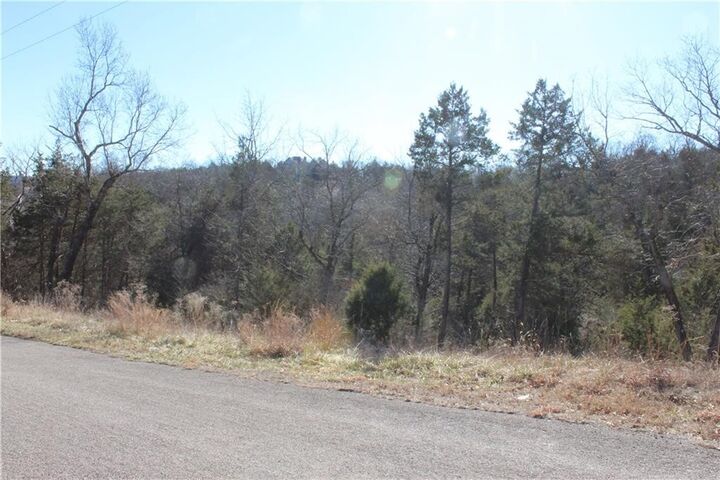 Property Photo:  15 Deer Run Drive  AR 72631 