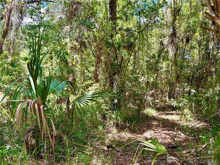 Property Photo:  0 Old Crystal River Road  FL 344601 