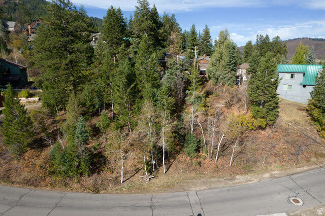 Property Photo:  290 St Moritz Strasse 20  UT 84098 