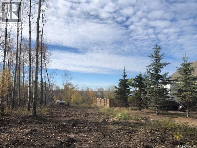 Property Photo:  520 Diamond Willow Drive  SK S0M 1A0 