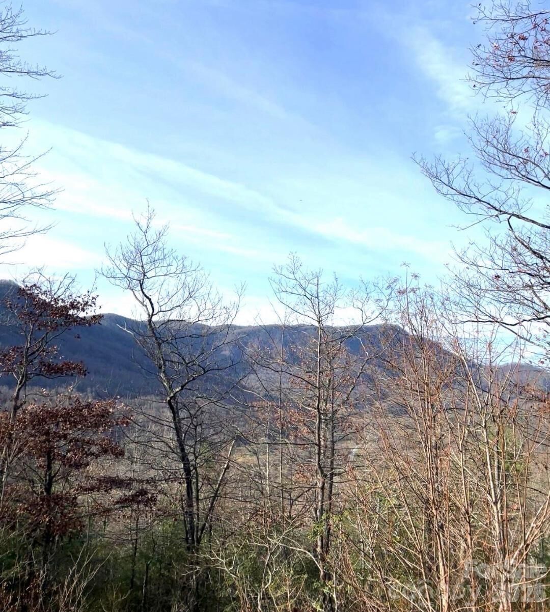 Property Photo:  Lot 51A Wilderness Drive  NC 28752 