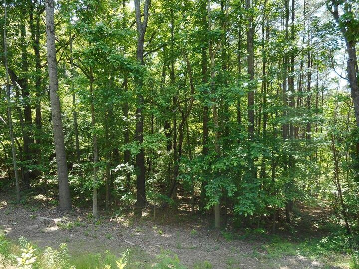 Property Photo:  0 Holly Street  GA 30114 