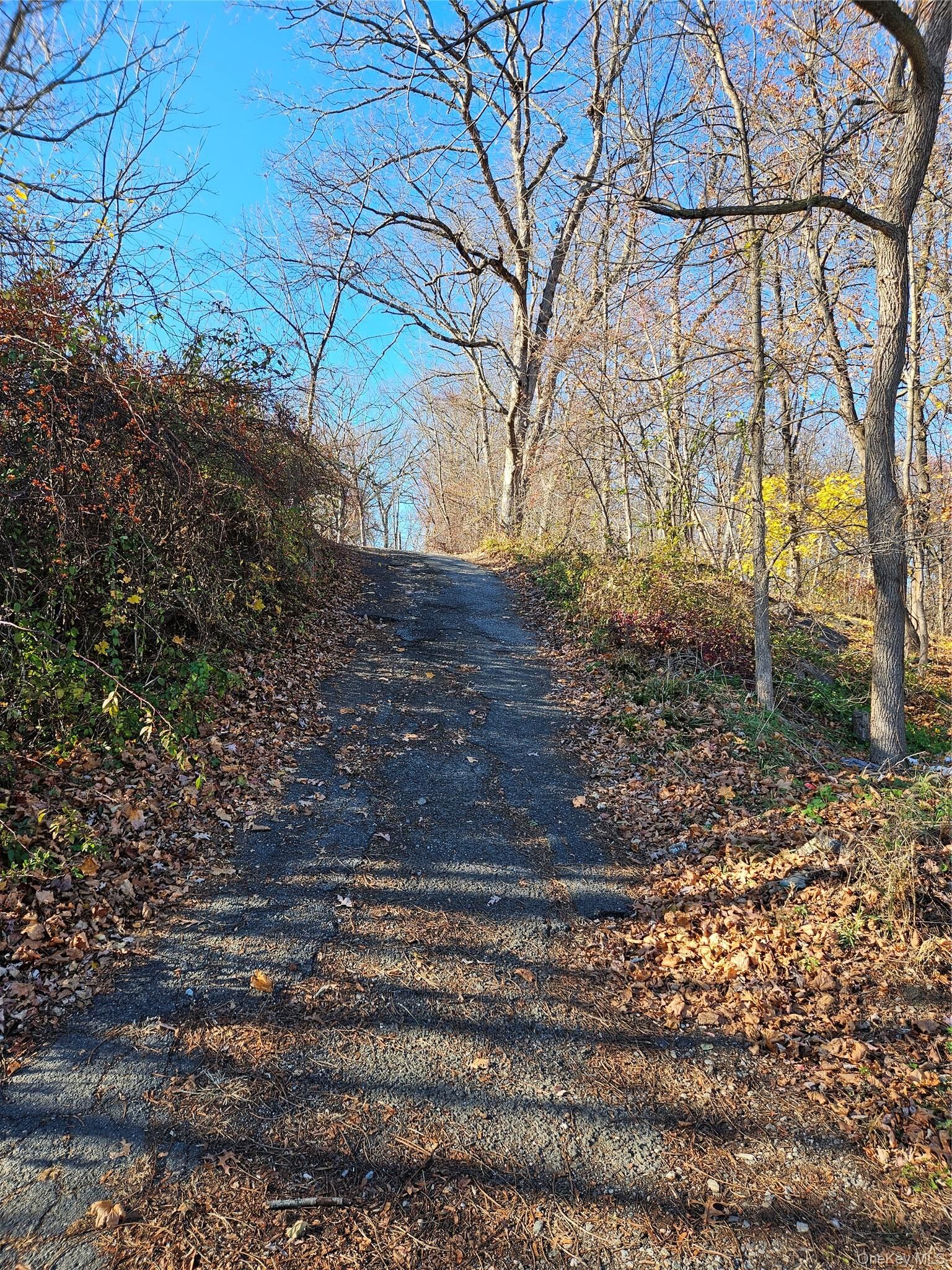 Property Photo:  35 Apple Street  NY 10974 