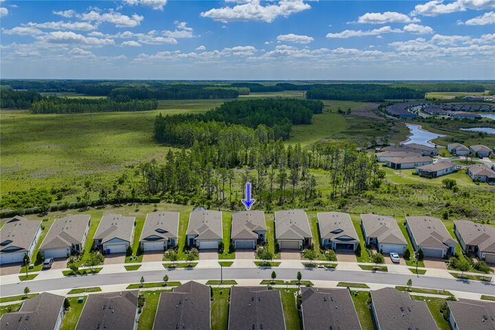 Property Photo:  6041 Shorebird Branch  FL 34638 