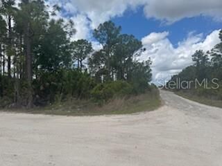 Property Photo:  29459 Clara Drive  FL 33982 