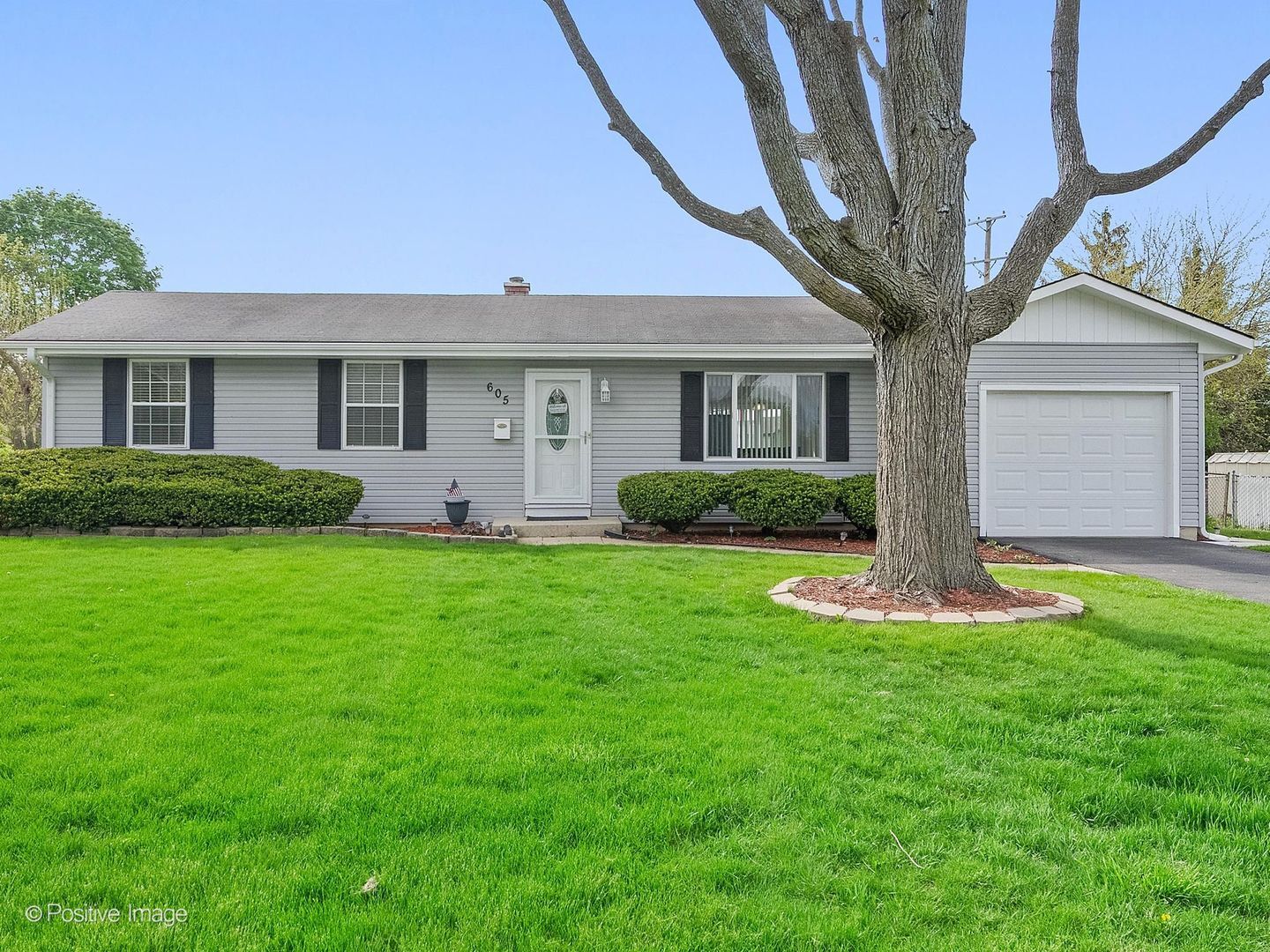 Property Photo:  605 Commanche Court  IL 60188 