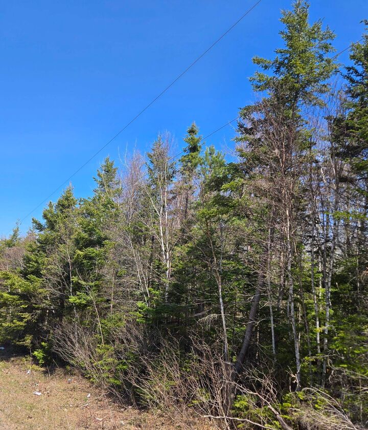 Property Photo:  Acreage Strathcona Road  PE C0A 2A0 
