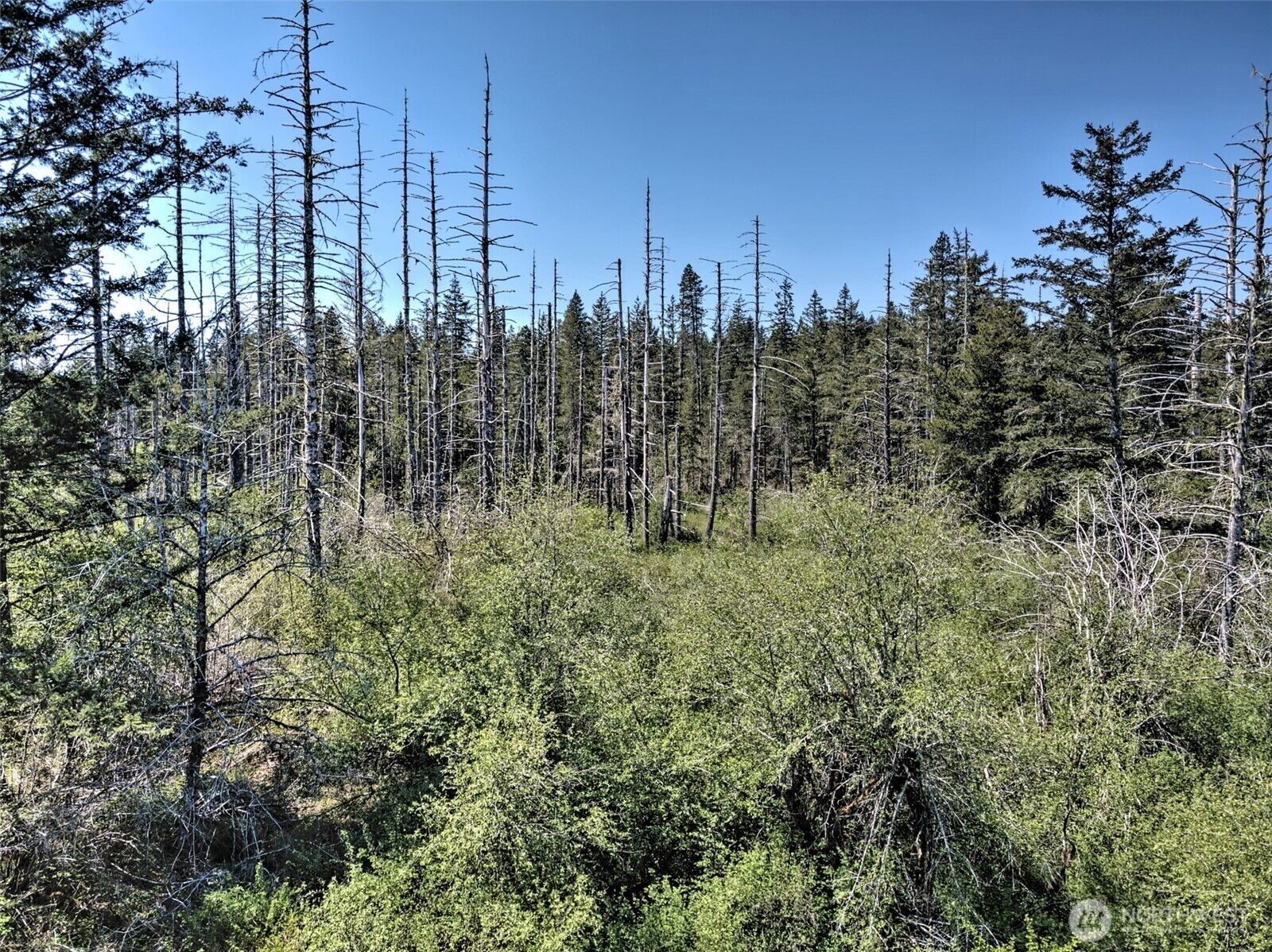 Property Photo: 1161 NE Toonerville Drive WA 98528