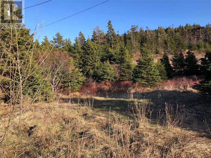 Property Photo:  102 Harbour Road  NL A0A 1Y0 