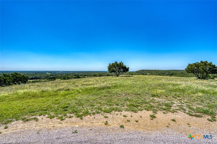 Property Photo:  993 Blackbuck Ridge Drive  TX 76550 