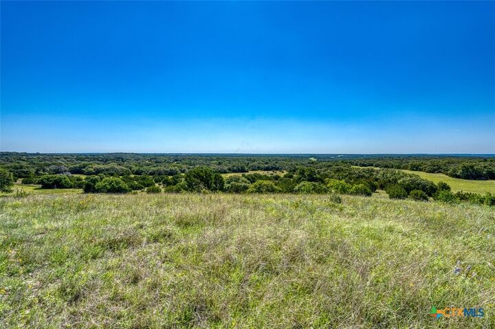 Property Photo:  993 Blackbuck Ridge Drive  TX 76550 