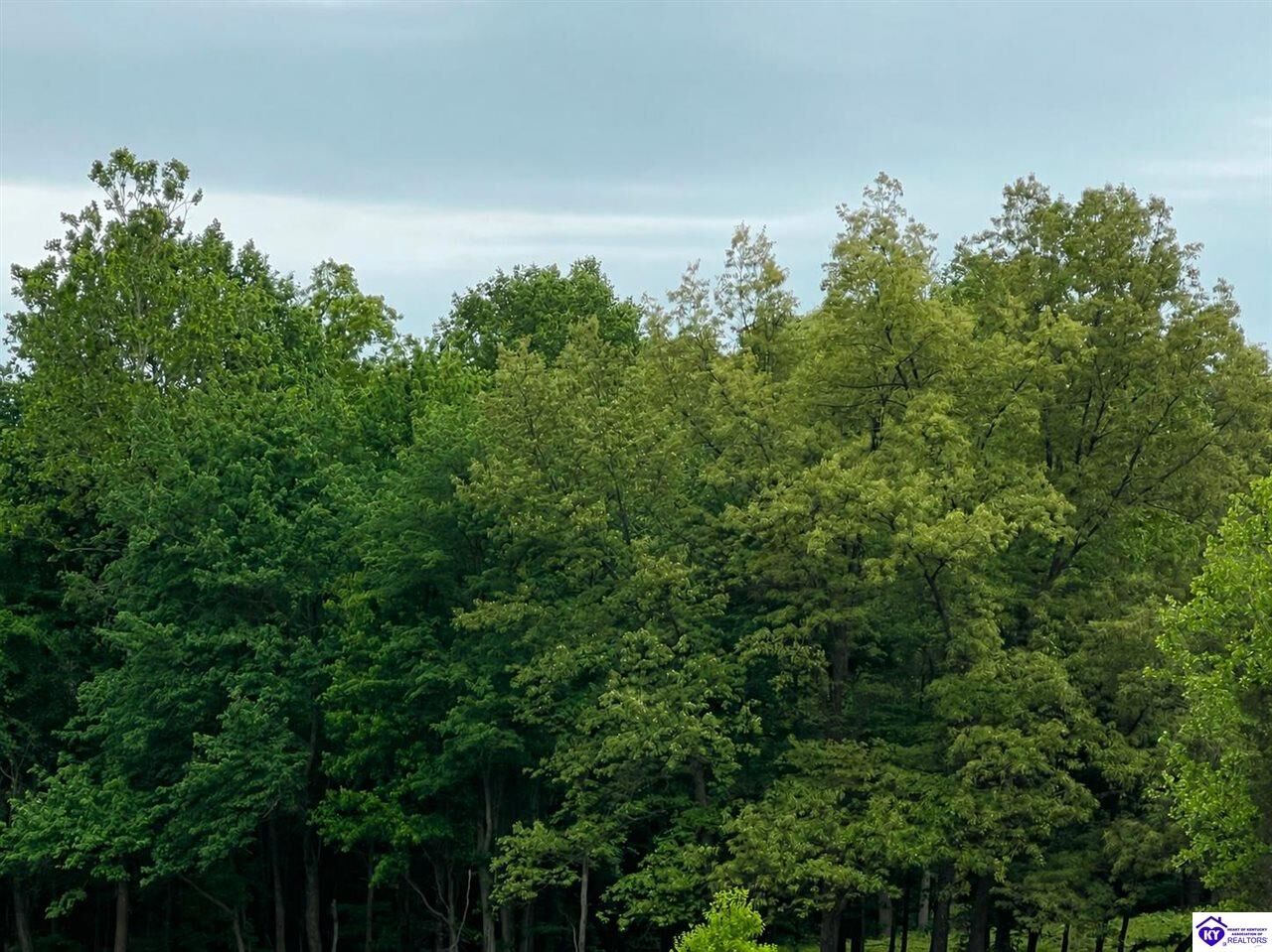 Property Photo:  Tract 2A Die Shiboley Church Road  KY 42757 