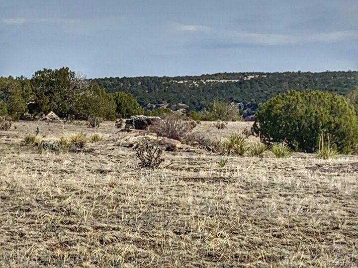 Property Photo: 80 Turkey Ridge Ranch CO 81089