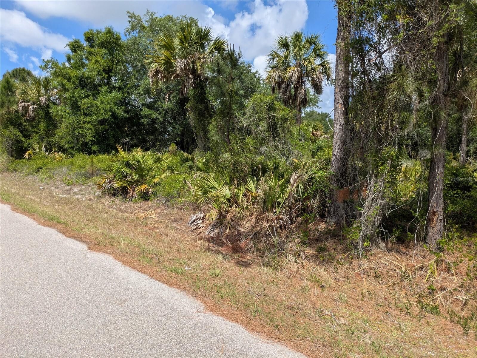 Property Photo:  Delight Avenue  FL 34288 