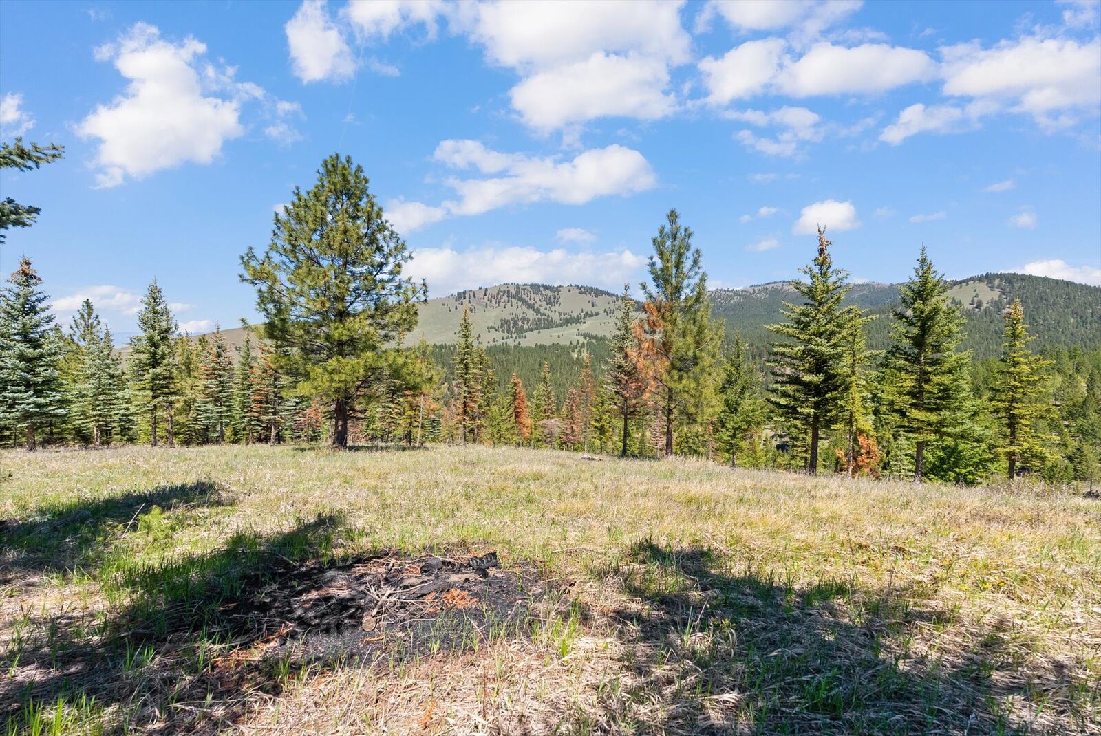 Property Photo:  5016 Arnica Road  MT 59803 