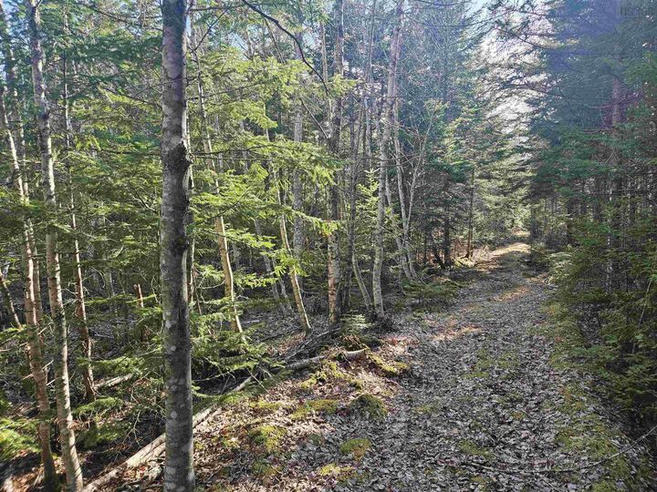 Property Photo:  V/L 368 Highway  NS B0M 1Z0 