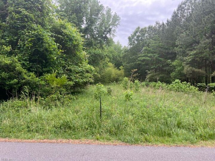 Property Photo: 1 Acre Mansion Ave VA 23899