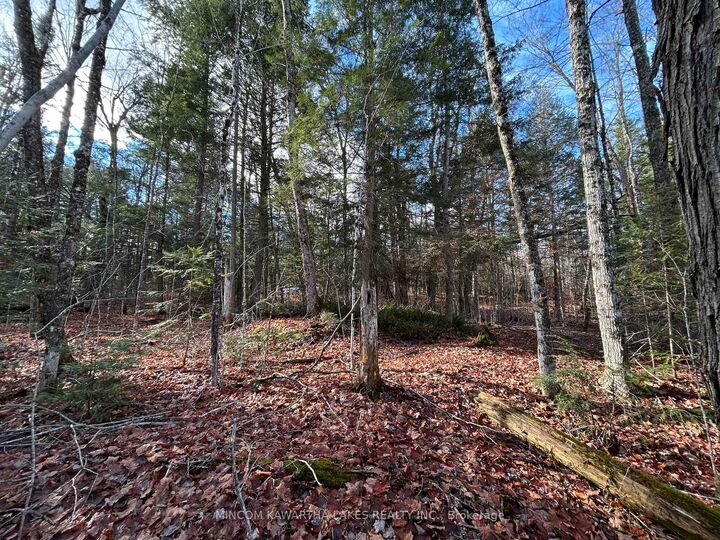Property Photo:  0 Mill Lake Road  ON K0L 1A0 