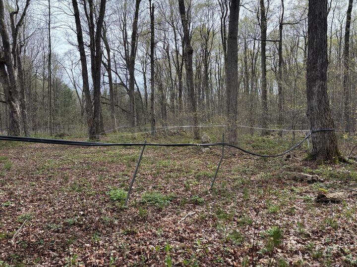 Property Photo:  201 Cannon Corners Road  NY 12959 