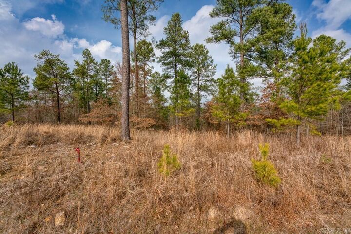 Property Photo:  19 Lookout Lane Lot 11  AR 71950 