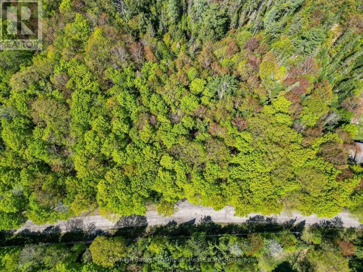Property Photo:  989 North Waseosa Lake Road  ON P1H 2J4 