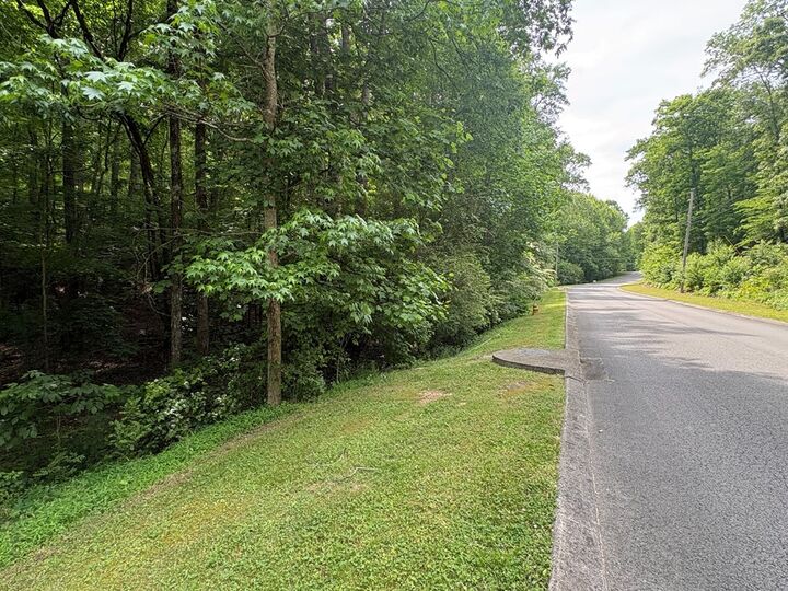 Property Photo:  00 Hidden Lake Road  GA 30721 