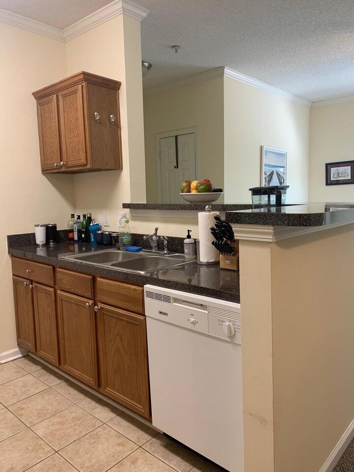 Property Photo:  45 Sycamore Avenue Apt 1038  SC 29407 