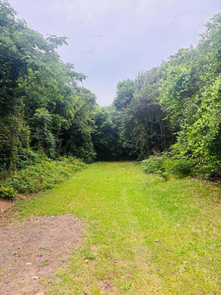 Property Photo:  0 Hills Ally  GA 31079 