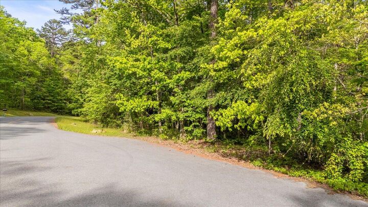 Property Photo:  0 Clear Brooks Drive  TN 37377 