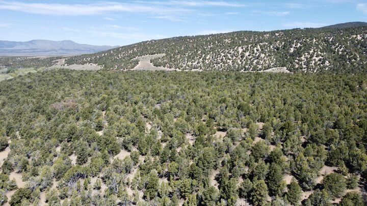 Property Photo:  10+ Acres The South Fork Of North Creek  UT 84713 