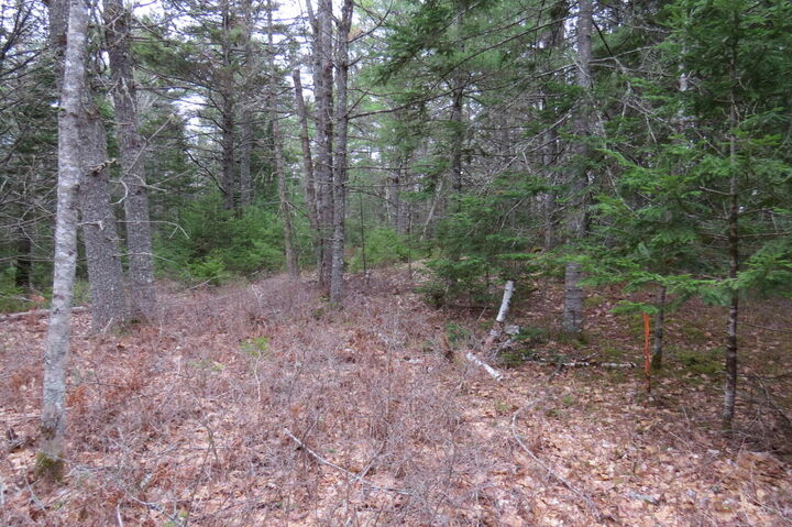 Property Photo: 23 Porcupine Road ME 04664