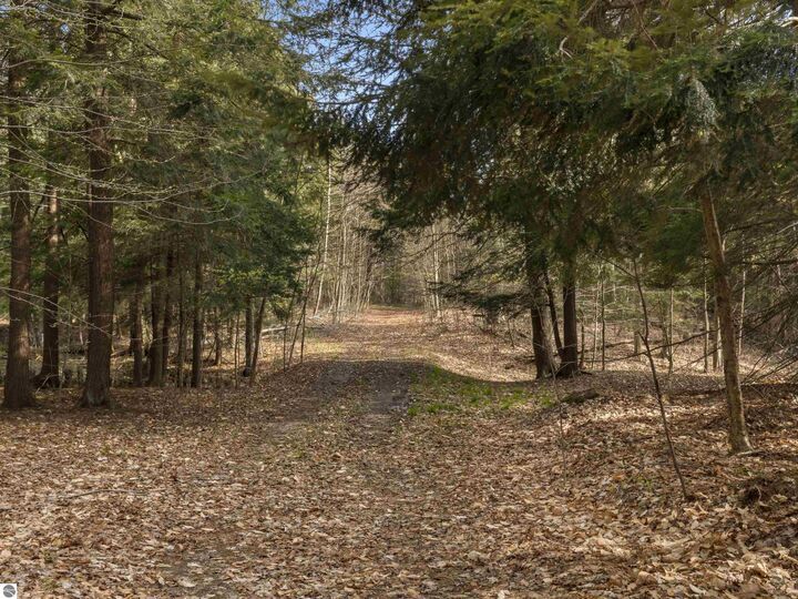 Property Photo: 00 Benzie Highway MI 49616