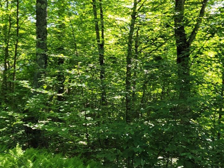 Property Photo:  Lot 26 Presidential View Lane  NH 03574 