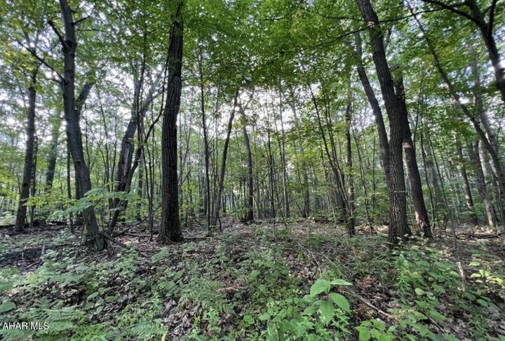 Property Photo:  122 Overland Pass Road  PA 16625 