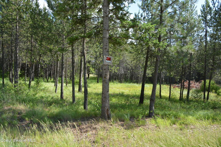 Property Photo:  Nka N Sylvan Rd  ID 83801 