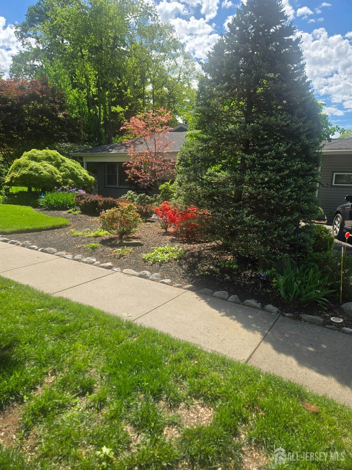 Property Photo:  124 Hillside Avenue  NJ 08840 