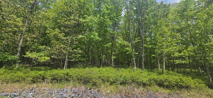 Property Photo: Lv Lot 052 Crnr Mountain Laurel & Dogwood Drive PA 18202