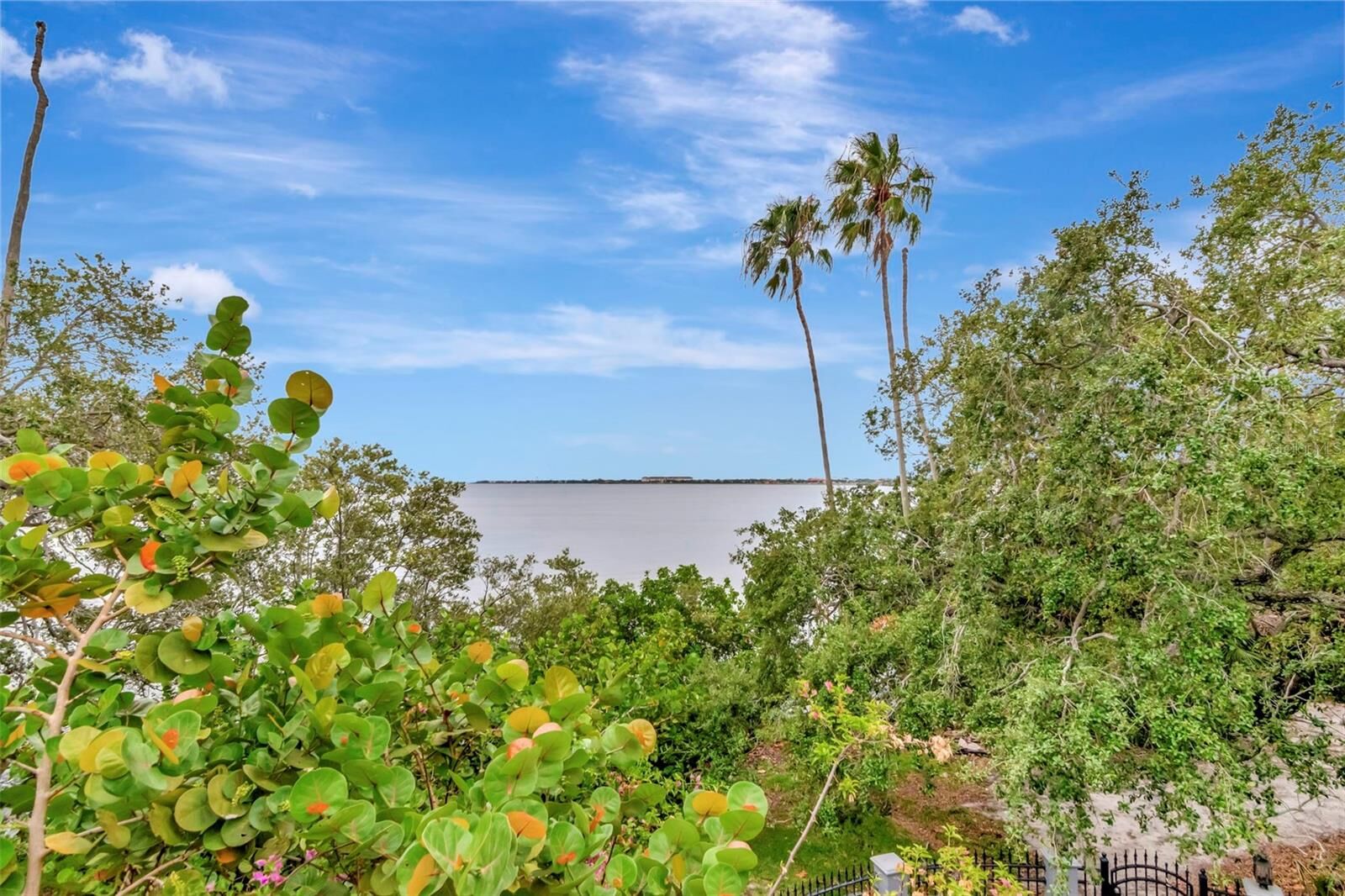 Property Photo:  6220 Bayshore Boulevard  FL 33611 