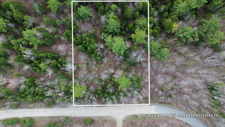 Property Photo:  Lot 1 Bailey Mountain Road  ME 04634 